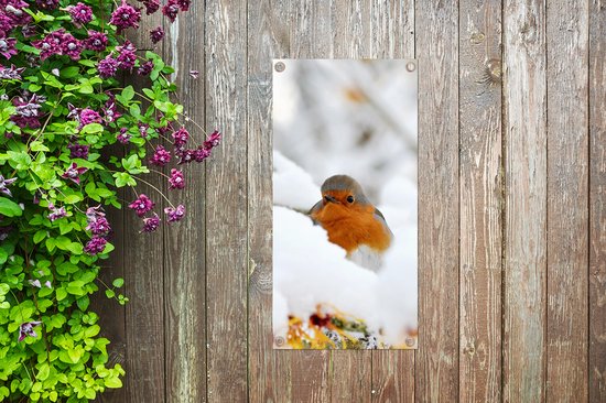 Affiche jardin Neige - Robin - Branche - 30x60 cm