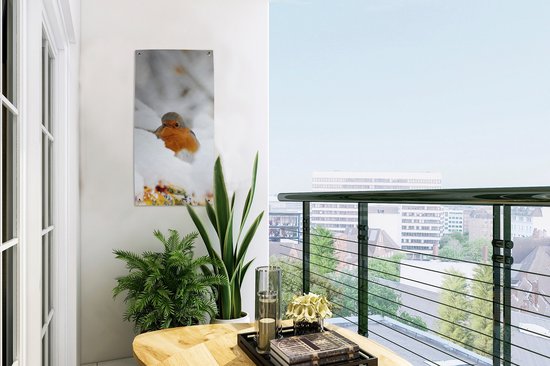 Affiche jardin Neige - Robin - Branche - 30x60 cm