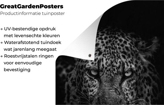 Poster de jardin Léopard - Zwart - Wit - 30x60 cm - Toile de jardin - Poster extérieur
