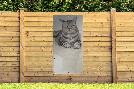 Décoration murale murale extérieure Chat - Grijs - Animal - 80x160 cm