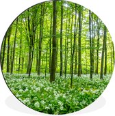 Cercle mural - Cercle mural - Forêt - Arbres - Vert - Aluminium - ⌀ 30 cm - Intérieur et Extérieur