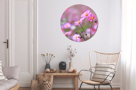 Fleurs - Extérieur - Rose