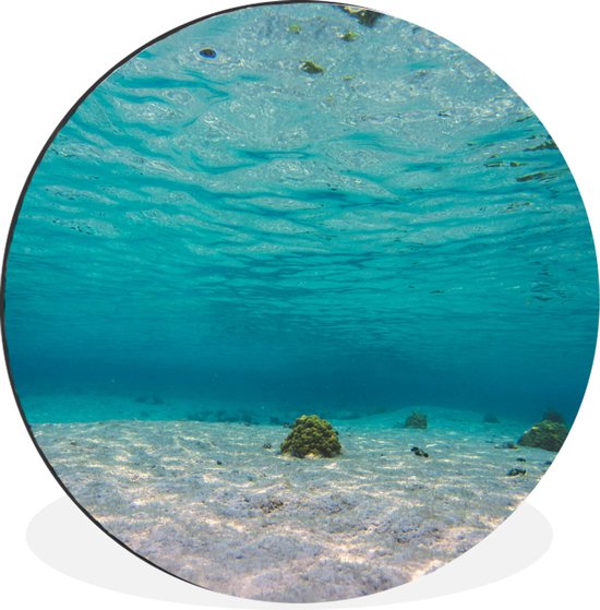 WallCircle - Wandcirkel - Muurcirkel - De schitterende zee van Glover’s Reef in Belize - Aluminium - Dibond - ⌀ 90 cm - Binnen en Buiten