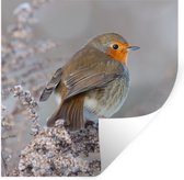 Muursticker Cirkel Vogels Dekornik