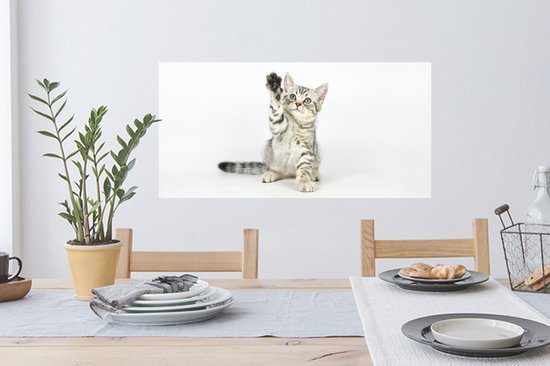 Stickers muraux - Chaton - Patte - Wit - 80x40 cm - Film Adhésif