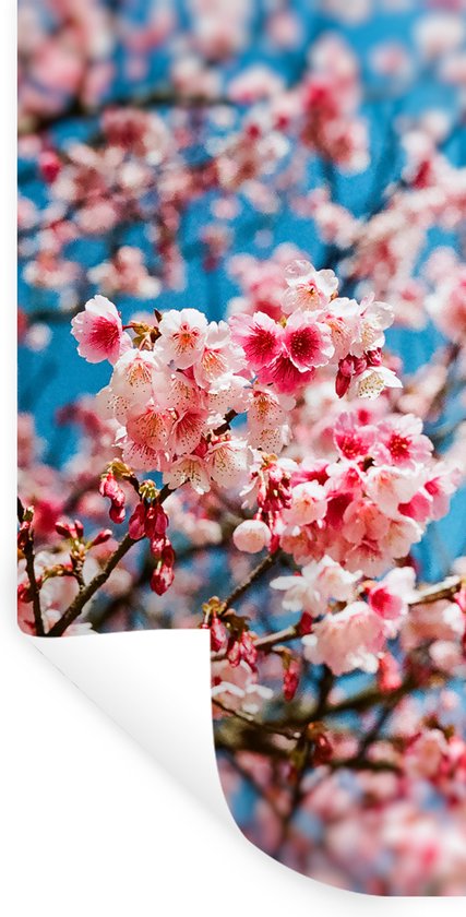 Stickers muraux - Printemps - Sakura - Rose - 40x80 cm - Feuille adhésive