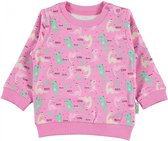 Baby/peuter sweater meisjes - Dino Babykleding - Dinosaurus