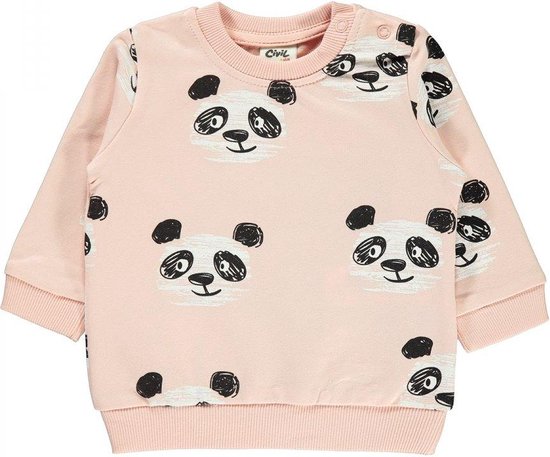 Belegering Slang dienblad Baby/peuter sweater meisjes - Panda - Babykleding | bol.com