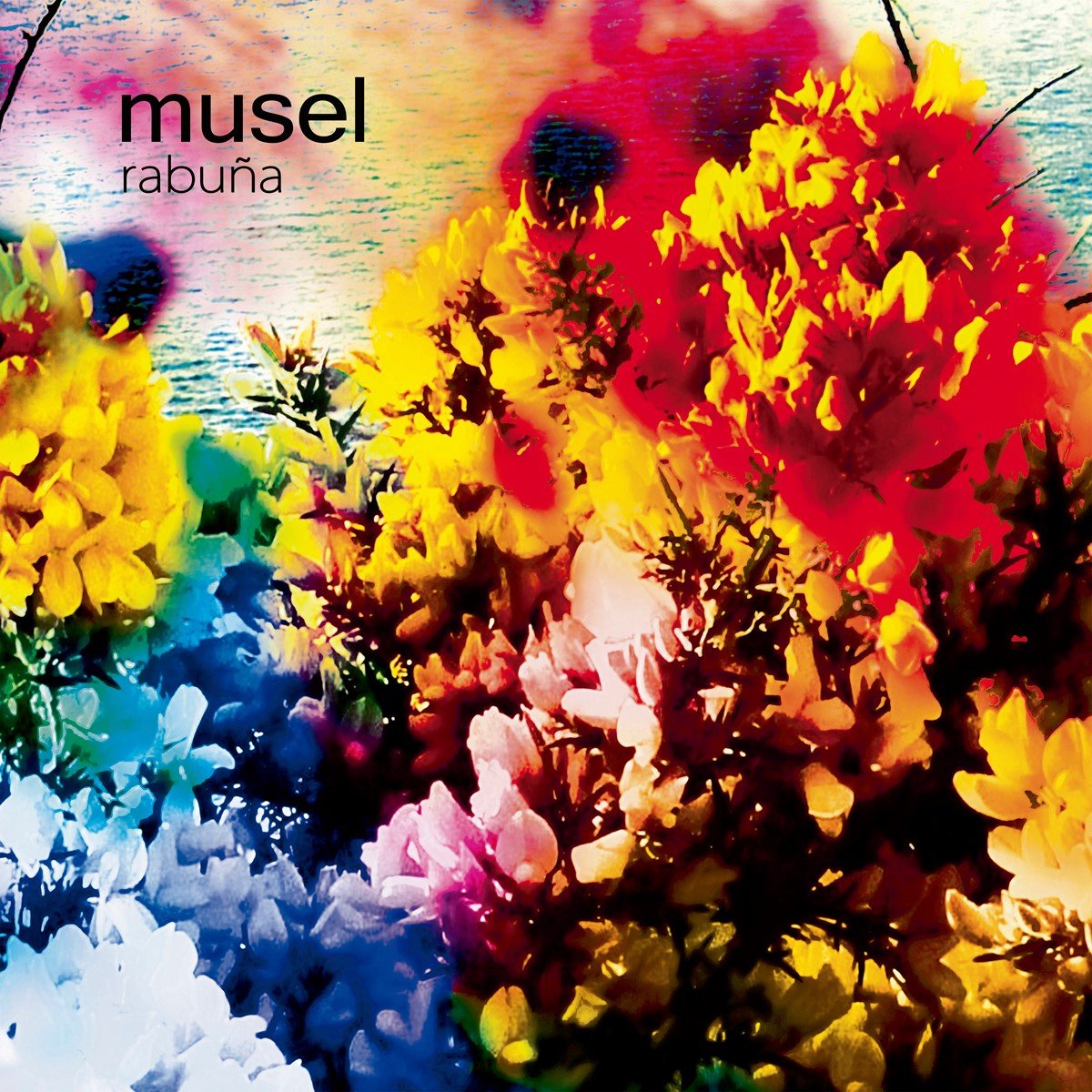 Musel - Rabuña (10" LP)