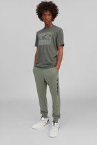 O'Neill Broek Men Jogger Pants Agave Green L - Agave Green 60% Cotton, 40% Recycled Polyester Jogger 3