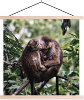Singe famille sur une branche affiche textielposter lattes vierge 60x60 cm