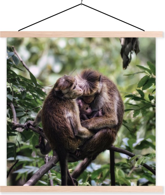 Singe famille sur une branche affiche textielposter lattes vierge 60x60 cm