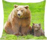 Ours - Herbe - Ourson