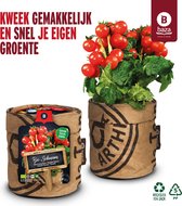 Keukentuintje biologische kweekset tomaten 'Cerise' inclusief biologische potgrond, zakje tomatenzaden/ BIO/gerecycled/ duurzaam/ cadeau idee