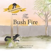 The Bushfire