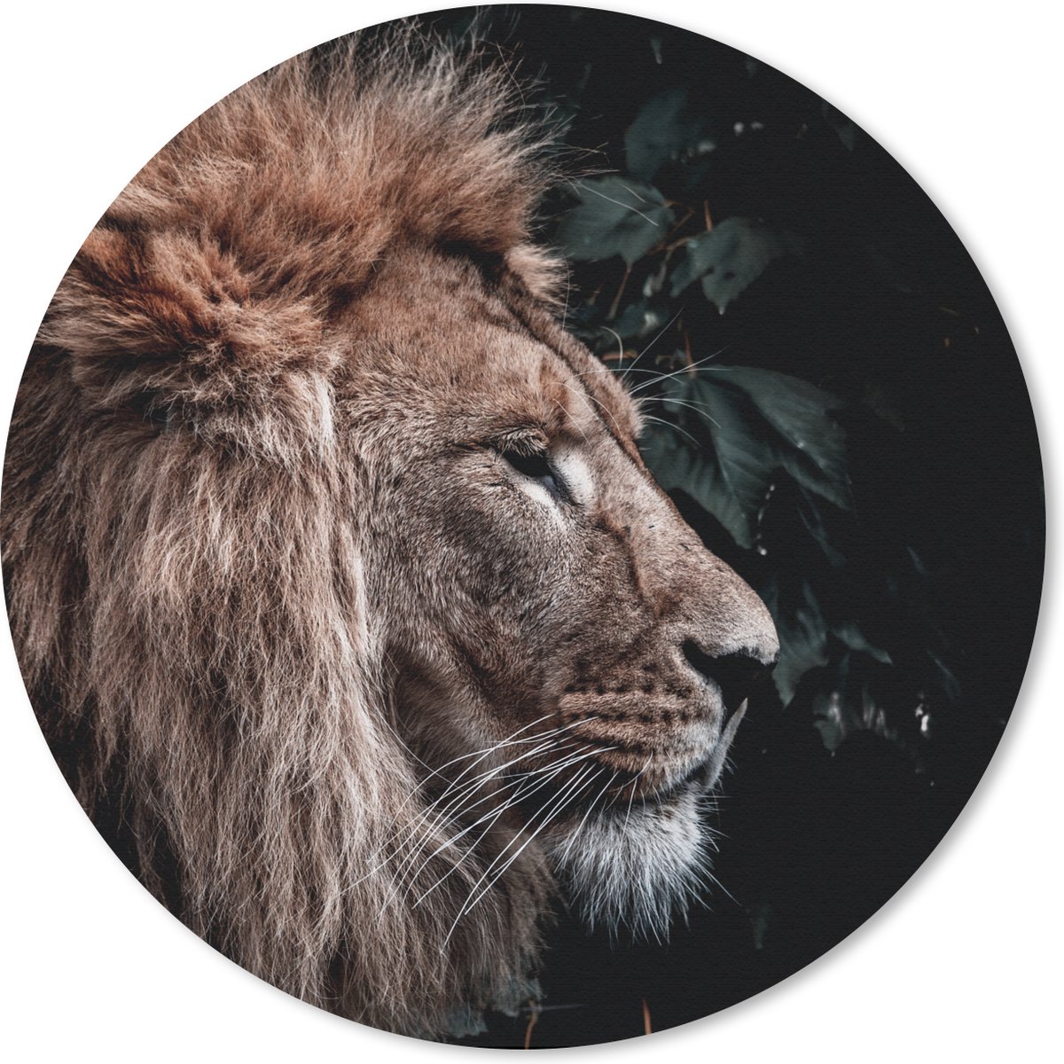 Muismat rond 20x20 cm - Mousepad Leeuw - Bladeren - Dieren - Ronde muismatten