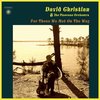 David Christian And The Pinecone Orchestra - For Those We Met On The Way (CD)