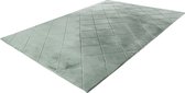 Impulse - vloerkleed - hoogpolig - fluffy - superzacht - 3D effect - tapijt - kleed - 120x170 - groen