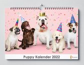 Puppy kalender 2023 | 35x24 cm | jaarkalender 2023 | Wandkalender 2023
