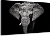 Tableau -Eléphant en noir/blanc, magique, 100x70cm, décoration murale