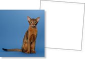 Katten Memory kaartspel - Katten Memoryspel - Educatief Kaartspel - 70 stuks