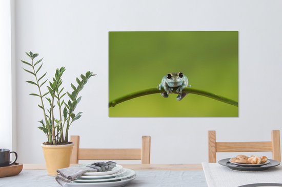 Tableau Grenouille - Branche - Vert - 60x40 cm - Décoration murale