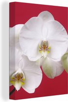 Canvas Schilderij Witte orchidee op rood - 60x80 cm - Wanddecoratie