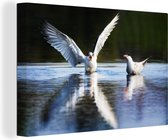 Tableau sur toile Vogel - Water - Aile - 30x20 cm - Décoration murale