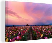 Canvas Schilderij Tulpenveld zonsondergang - 30x20 cm - Wanddecoratie