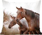 Sierkussen - Paarden Natuur - Bruin - 50 Cm X 50 Cm
