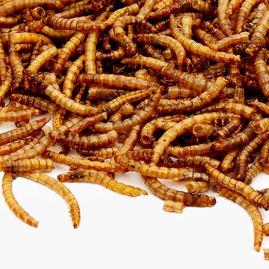 Meelwormen gedroogd - 5 KG - Premium kwaliteit