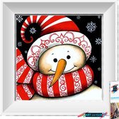 Artstudioclub™  Diamond painting volwassenen 30*30cm  sneeuwpop