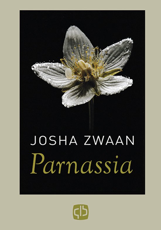 Grote letter bibliotheek 2732 -   Parnassia - cover