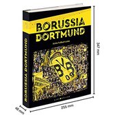 Boek Borussia Dortmund (BVB) - Karl Müller Echte Fußball-Liebe - Duitstalig - 600 pagina's - Rijkelijk Geïllustreerd