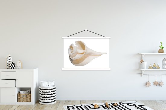 Affiche scolaire - Coquillage - Demi - Wit - 150x100 cm - Affiche textile Lattes Witte - Affiche textile