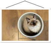 Affiche scolaire - Un chat Ragdoll dans un seau en plastique - 150x100 cm - Affiche textile Lattes Witte - Affiche textile