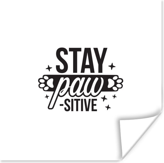Quote Stay paw-sitive blanc décoration murale affiche papier 50x50 cm - tirage photo sur affiche (décoration murale salon / chambre)