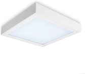 Bisolux Opbouw Master Paneel - 30x30 cm LED paneel - Wit - Niet dimbaar