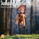 Jumping Animals Kalender 2022