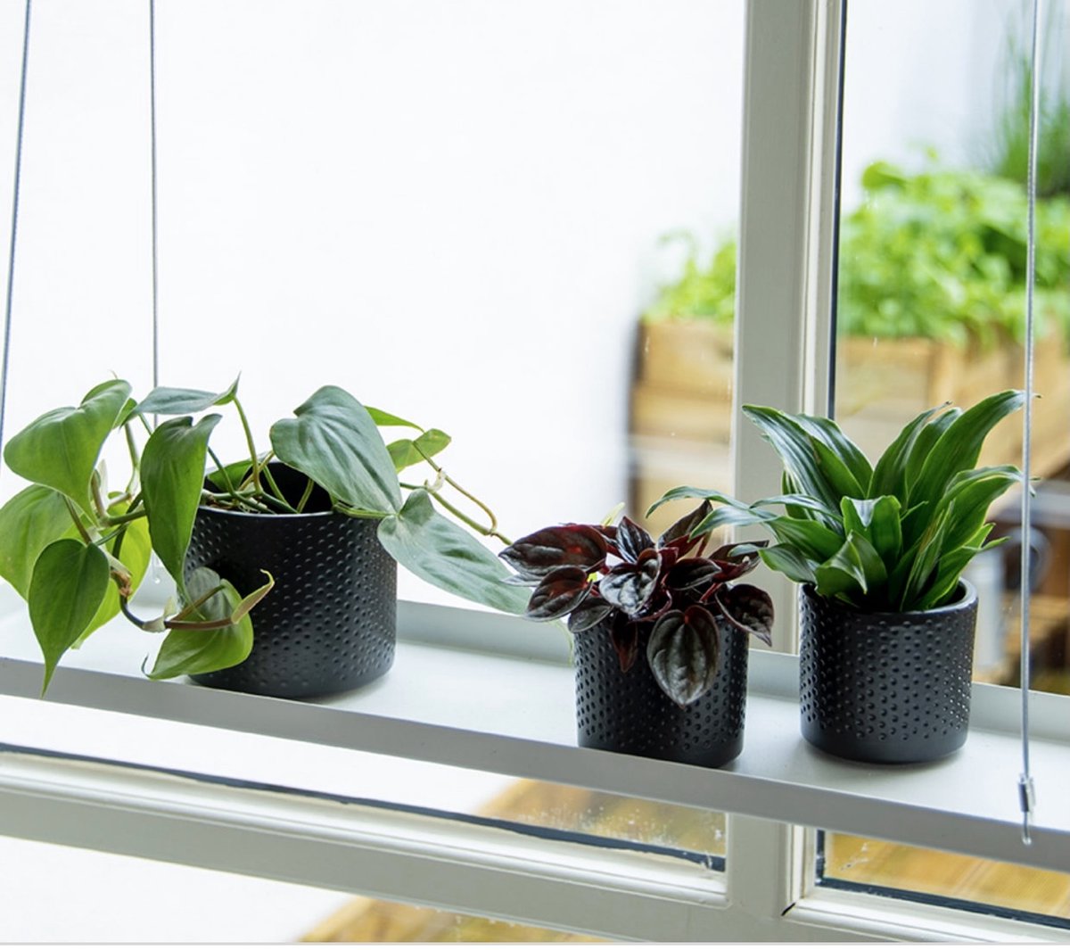 Esschert Design Plantenplateauhanger Window dressing zwart