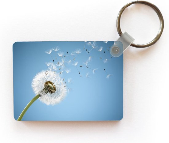 Porte-clés Pissenlits - Les spores de pissenlit soufflent porte-clés en plastique - porte-clés rectangulaire avec photo