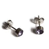 Aramat jewels ® - Zweerknopjes oorbellen rond lila zilverkleurig chirurgisch staal 5mm