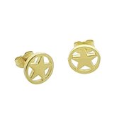 Aramat jewels ® - Stalen goudkleurige oorbellen ronde ster