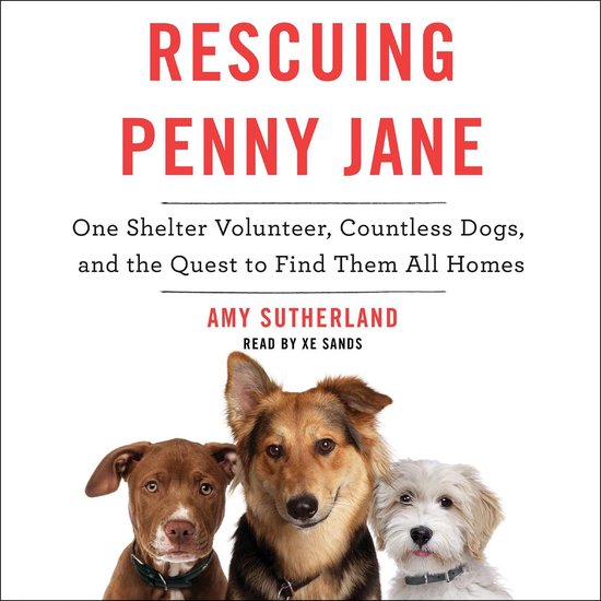 Rescuing Penny Jane - cover