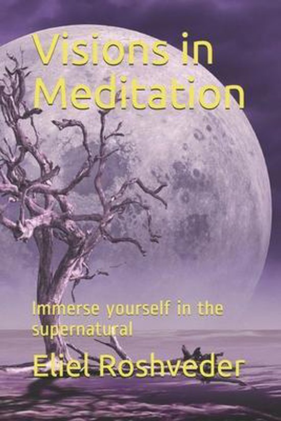 Meditação- Visions in Meditation - cover