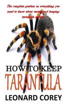 How to Keep Tarantula