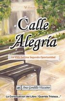 Calle Alegria