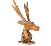 Herten hoofd van Teak | Semar Deer Teak | Lumbuck | Teak Skull