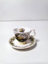 Theekop  + schotel - miniatuur - Spring - Royal Doulton .