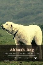 Akbash Dog